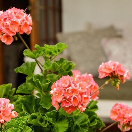 Bed and Breakfast Blue Lily Retreat Matjiesrivier  Exterior foto