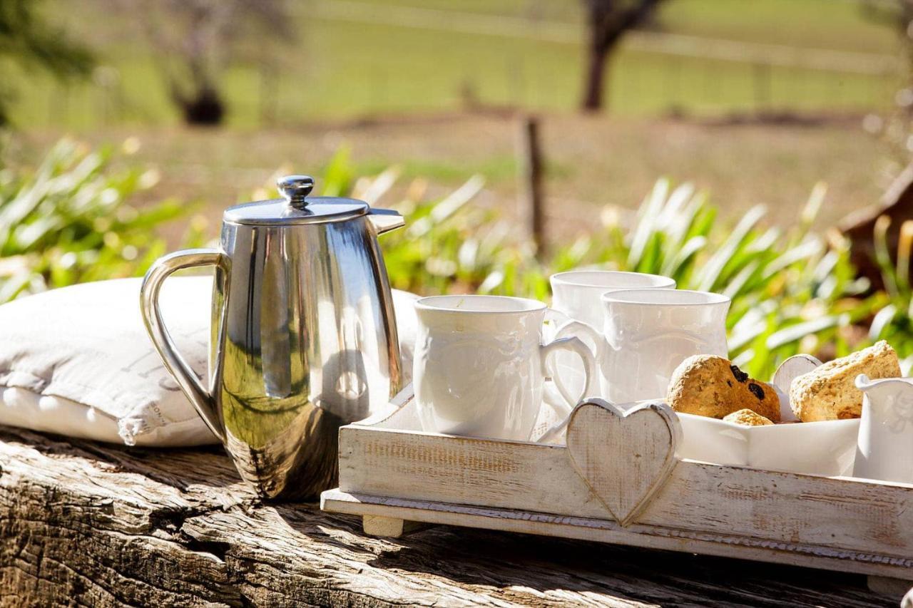 Bed and Breakfast Blue Lily Retreat Matjiesrivier  Exterior foto